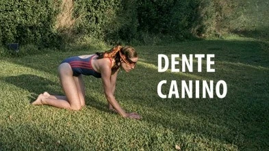 https://reservaimovision.com.br/programs/dente-canino