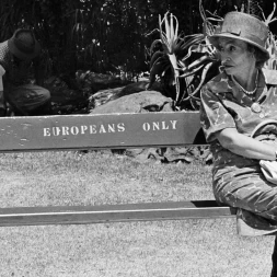 Foto da galeria do filme