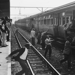 Foto da galeria do filme