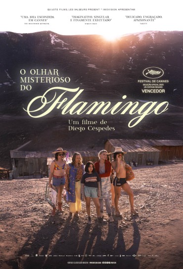 O Olhar Misterioso do Flamingo