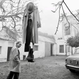 Foto da galeria do filme